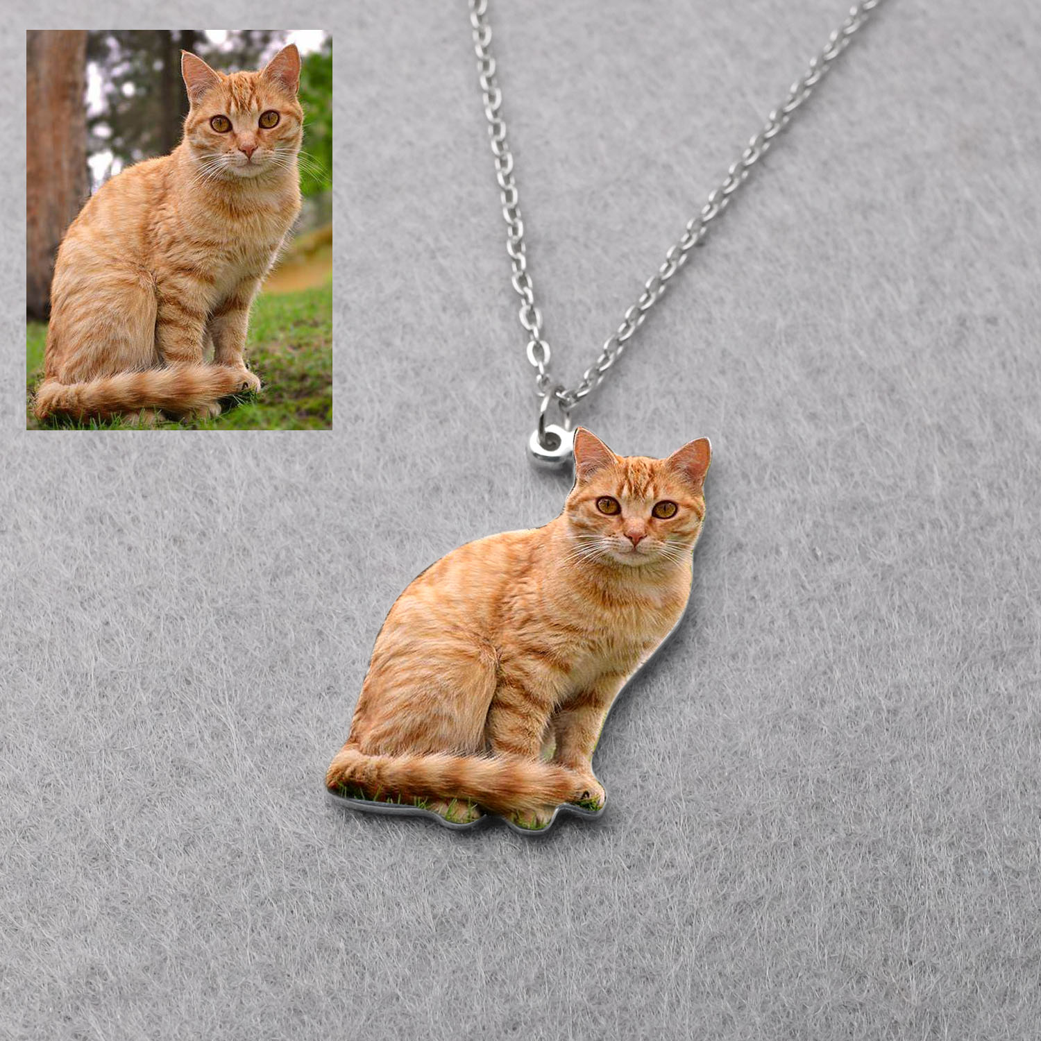 Collar Personalizado con Foto  - Pet Portrait Custom reseña y precio